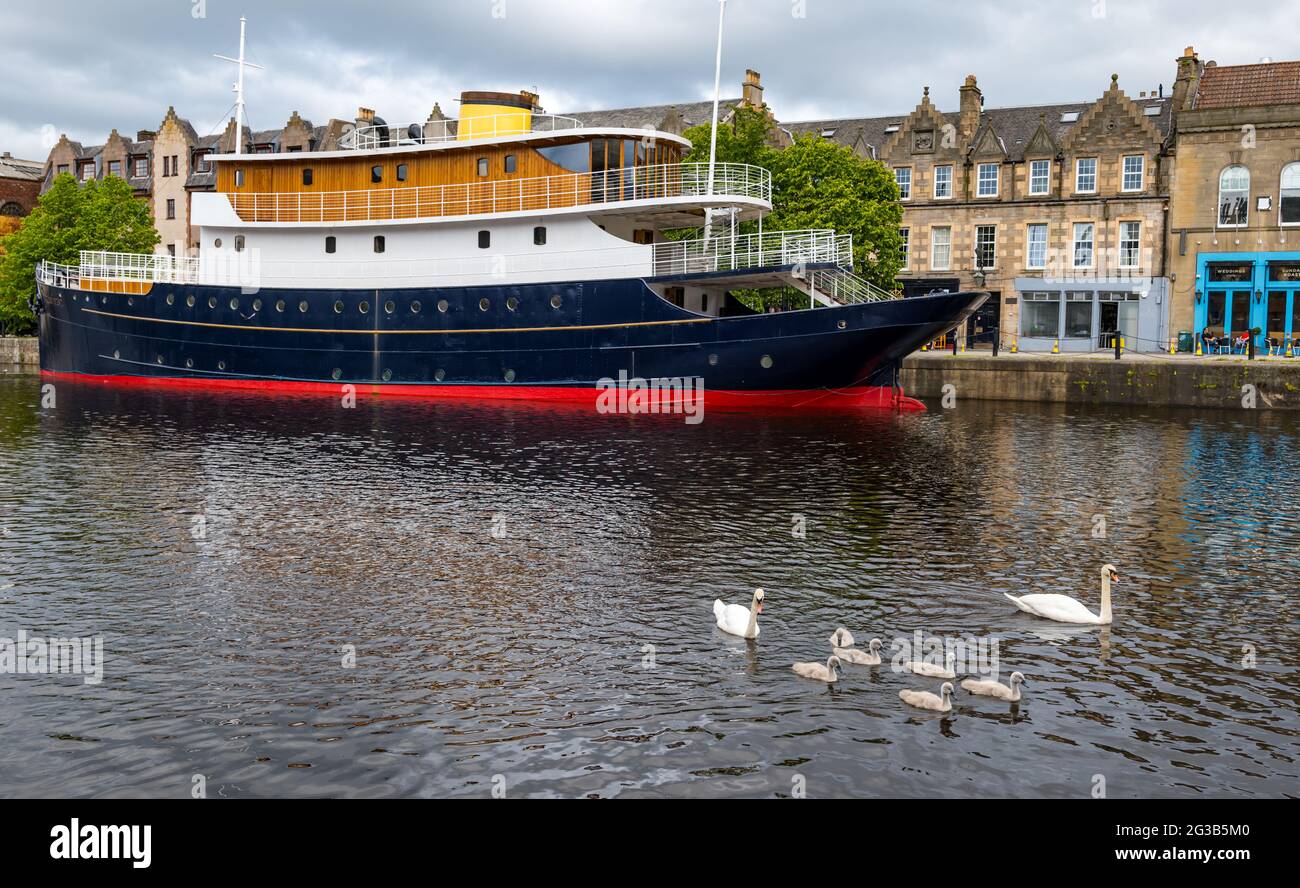 Converted ship Ocean Mist to floating hotel with swans & cygnets swimming in Water of Leith river, Edinburgh, Scotland, UK Stock Photo