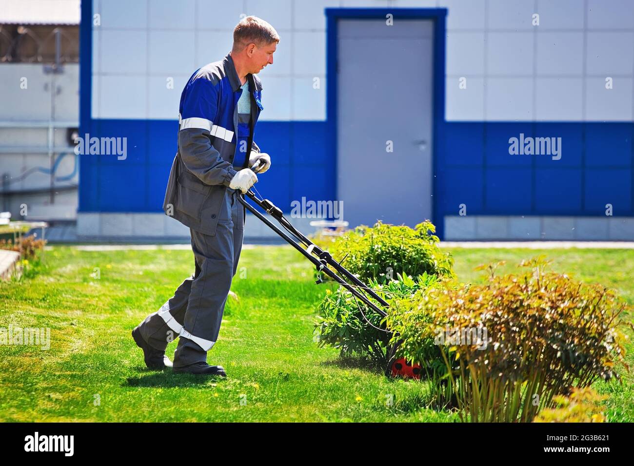 A young gardener mows the grass with a lawn mower. A man of Caucasian appearance in work clothes mows the lawn at the production base on a summer day. Stock Photo