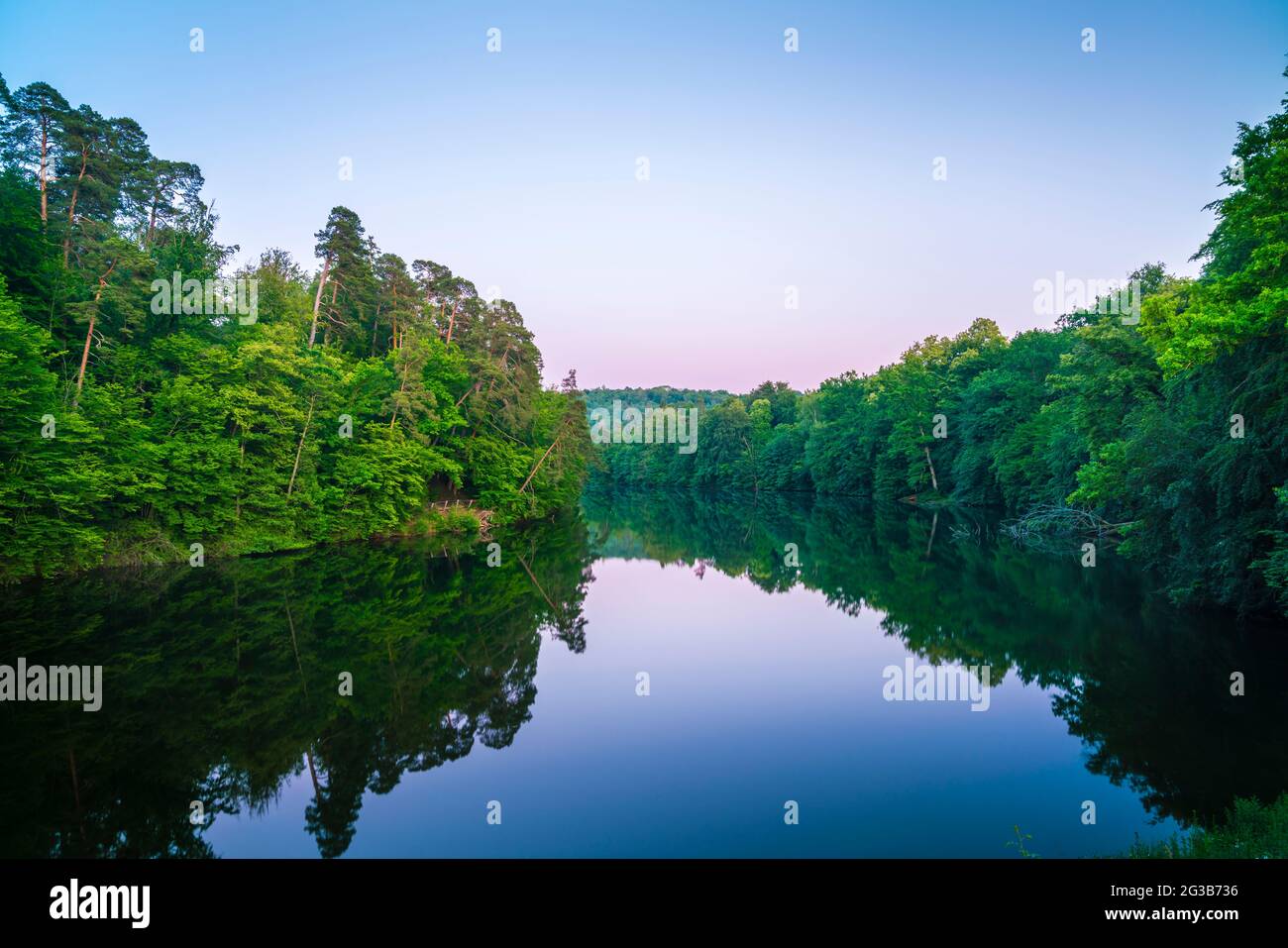 Germany, Magical reflection of green plants and trees in forest nature ...