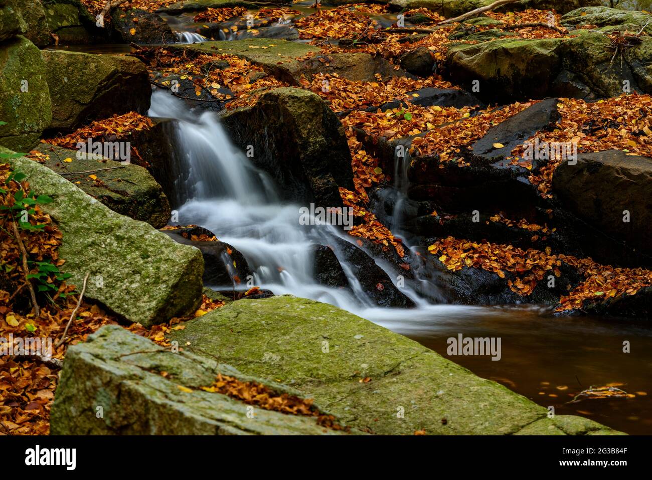 Detail of leaves and movement of water in the Riera de Gualba stream, in autumn, in Montseny (Vallès Oriental, Barcelona, Catalonia, Spain) Stock Photo