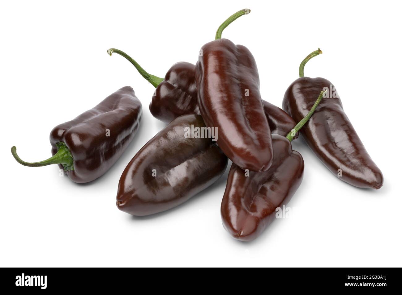 Heap of whole fresh chocolate mini pointed bell peppers close up isolated on white background background Stock Photo