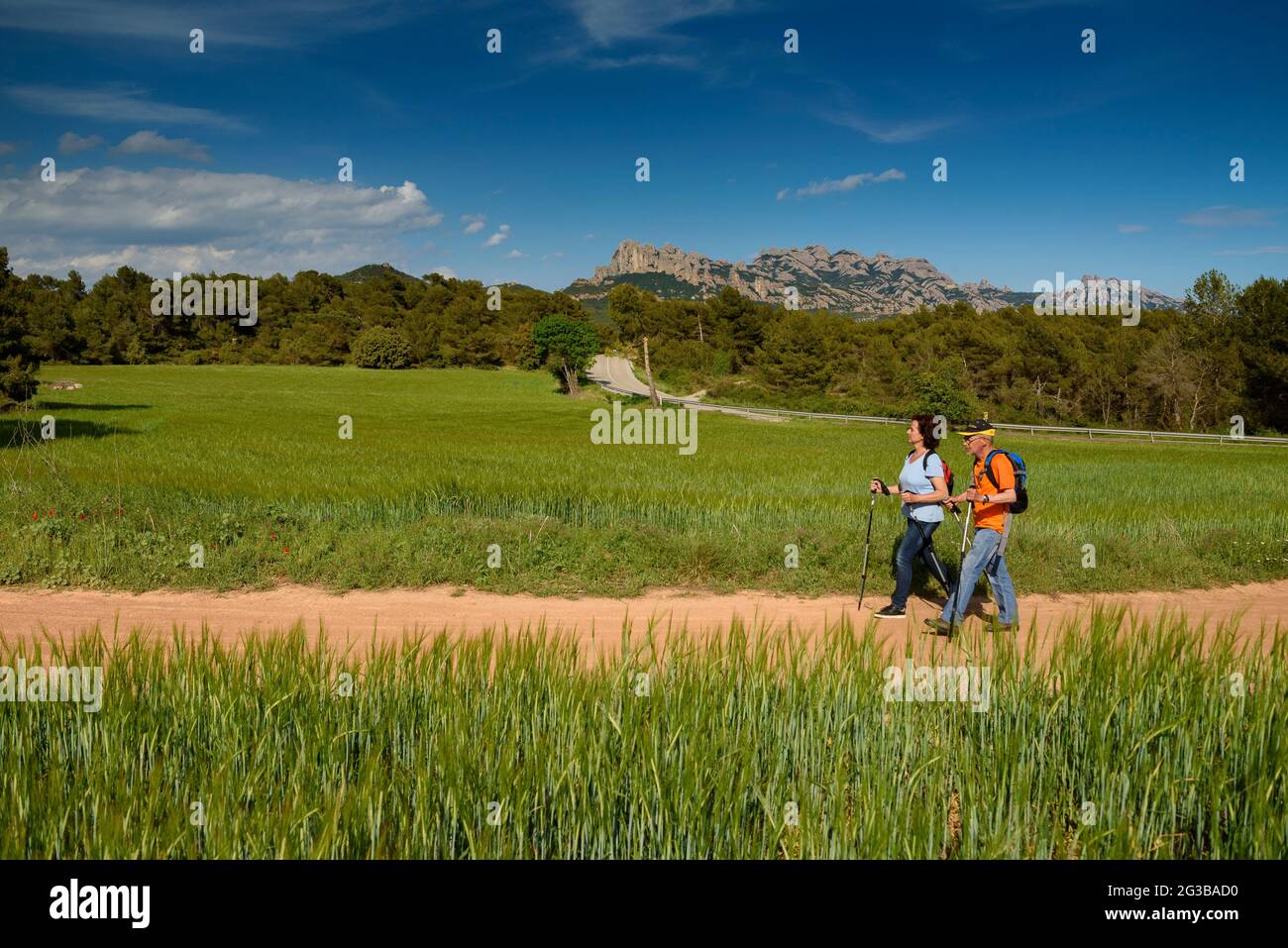 Hikers walking through green fields in spring in Sant Pau de la Guàrdia, near the Montserrat mountain (Barcelona, Catalonia, Spain) Stock Photo