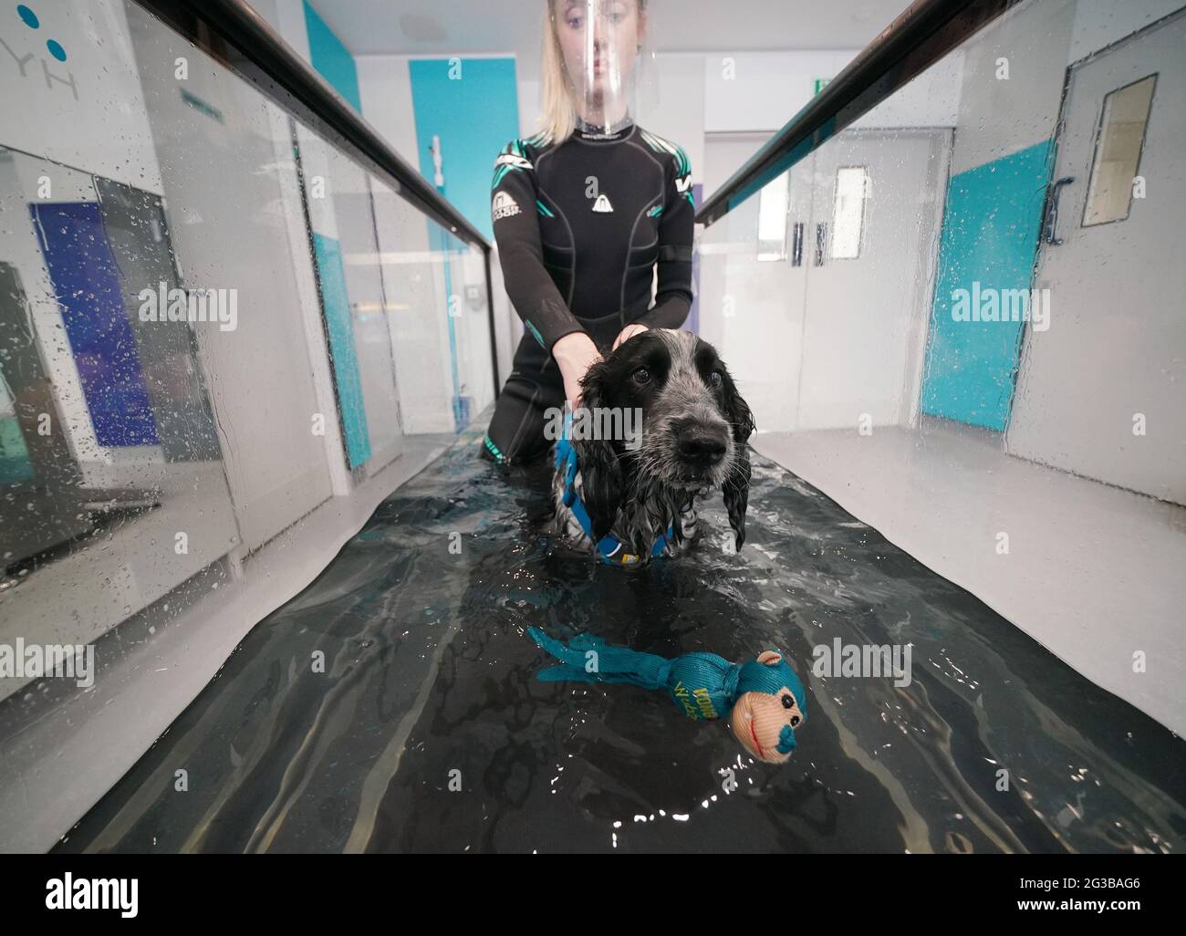 hydrotherapists-hi-res-stock-photography-and-images-alamy