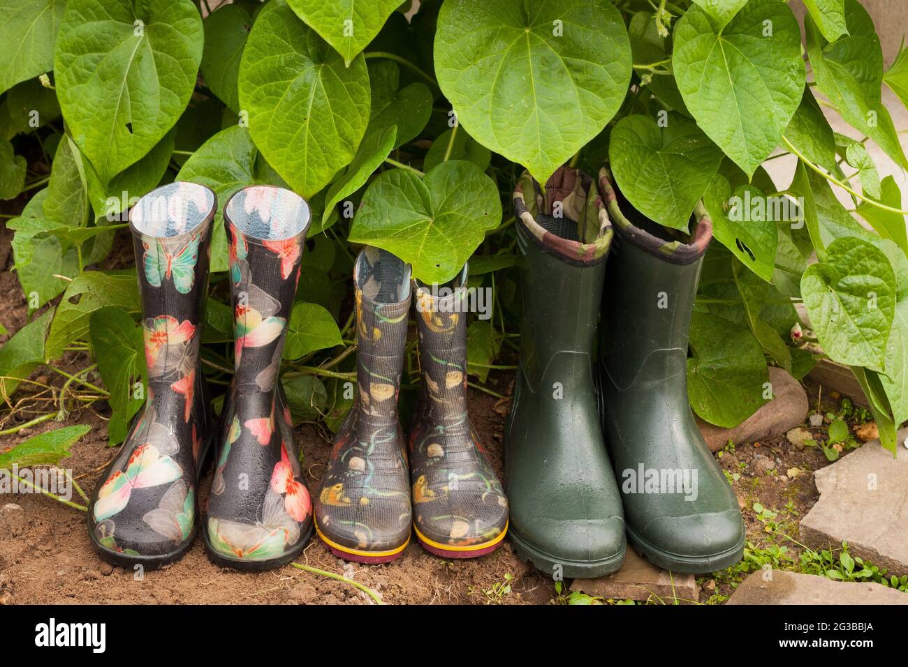 Earth rain boots top