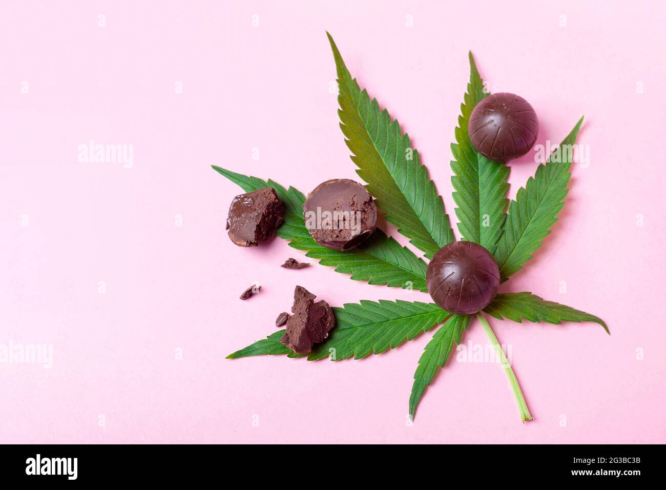 cannabis chocolate sweets on green leaf pink background. Stock Photo