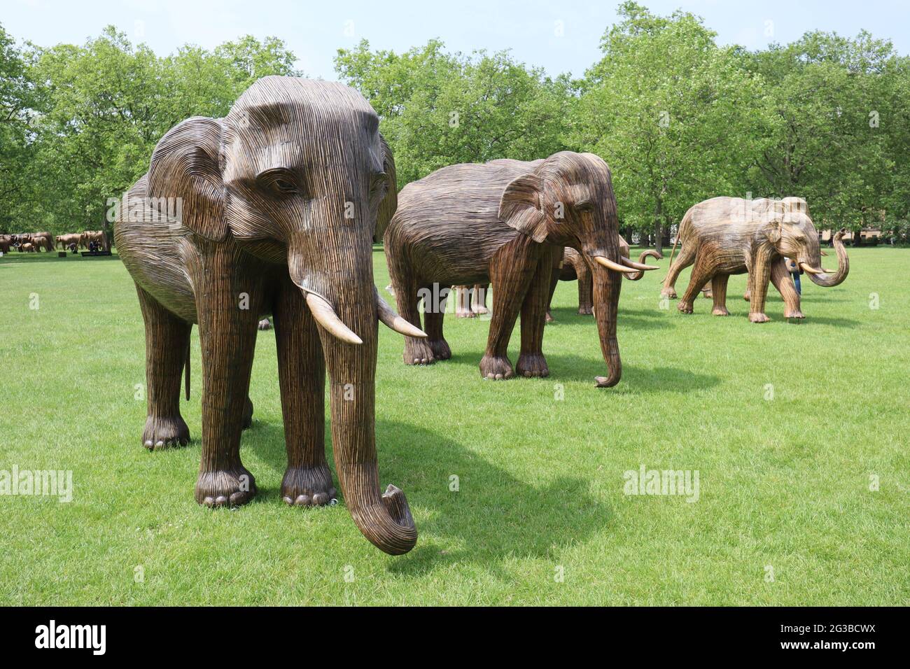 Non Exclusive: A magnificent herd of handcrafted life-size elephants ...