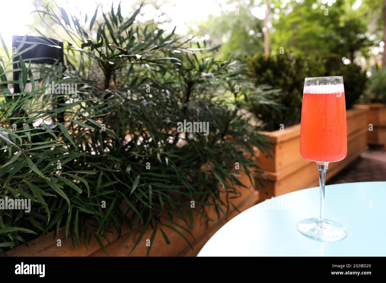 A strawberry mimosa sitting on a restaurant table outside for brunch with greenery shrubs Stock Photo