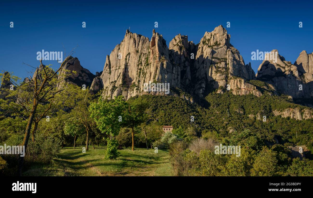 Path near the Santa Cecília monastery, on the north slope of the Montserrat mountain  (Bages, Barcelona, Catalonia, Spain) Stock Photo