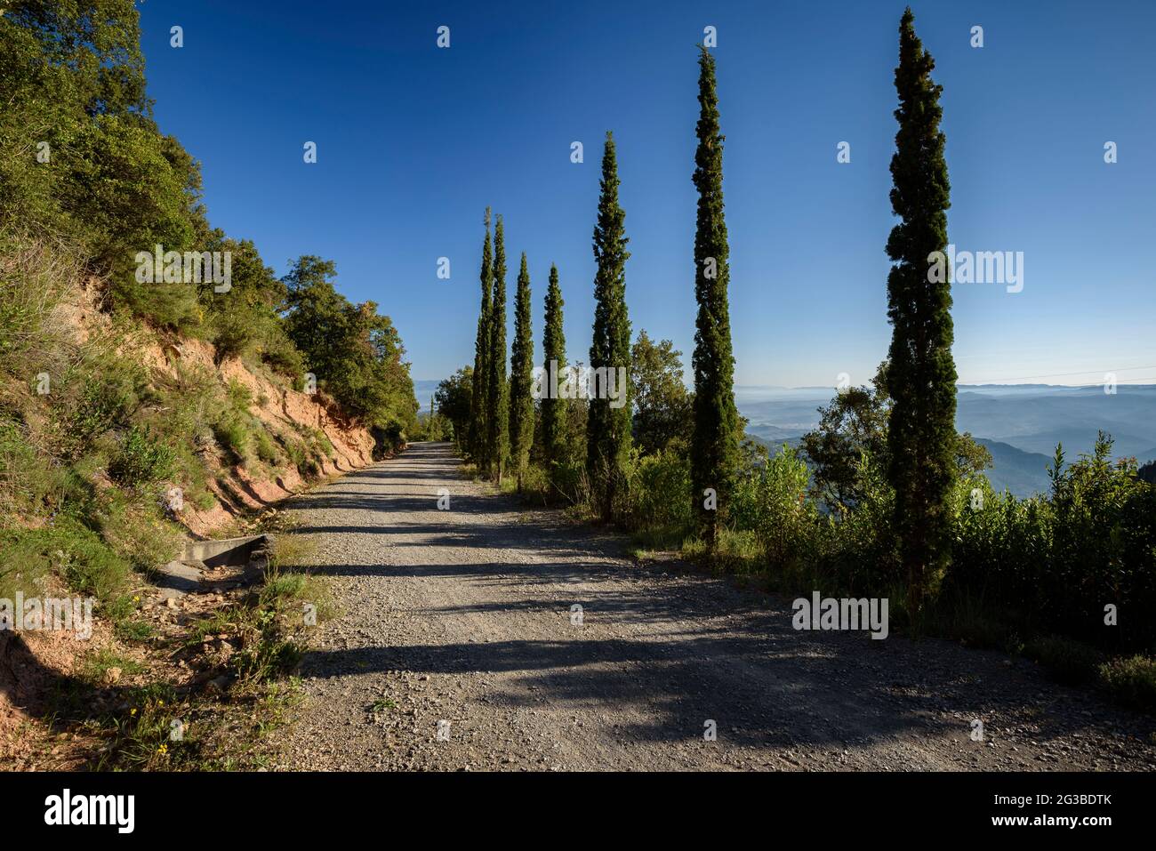 Path near the Santa Cecília monastery, on the north slope of the Montserrat mountain  (Bages, Barcelona, Catalonia, Spain) Stock Photo