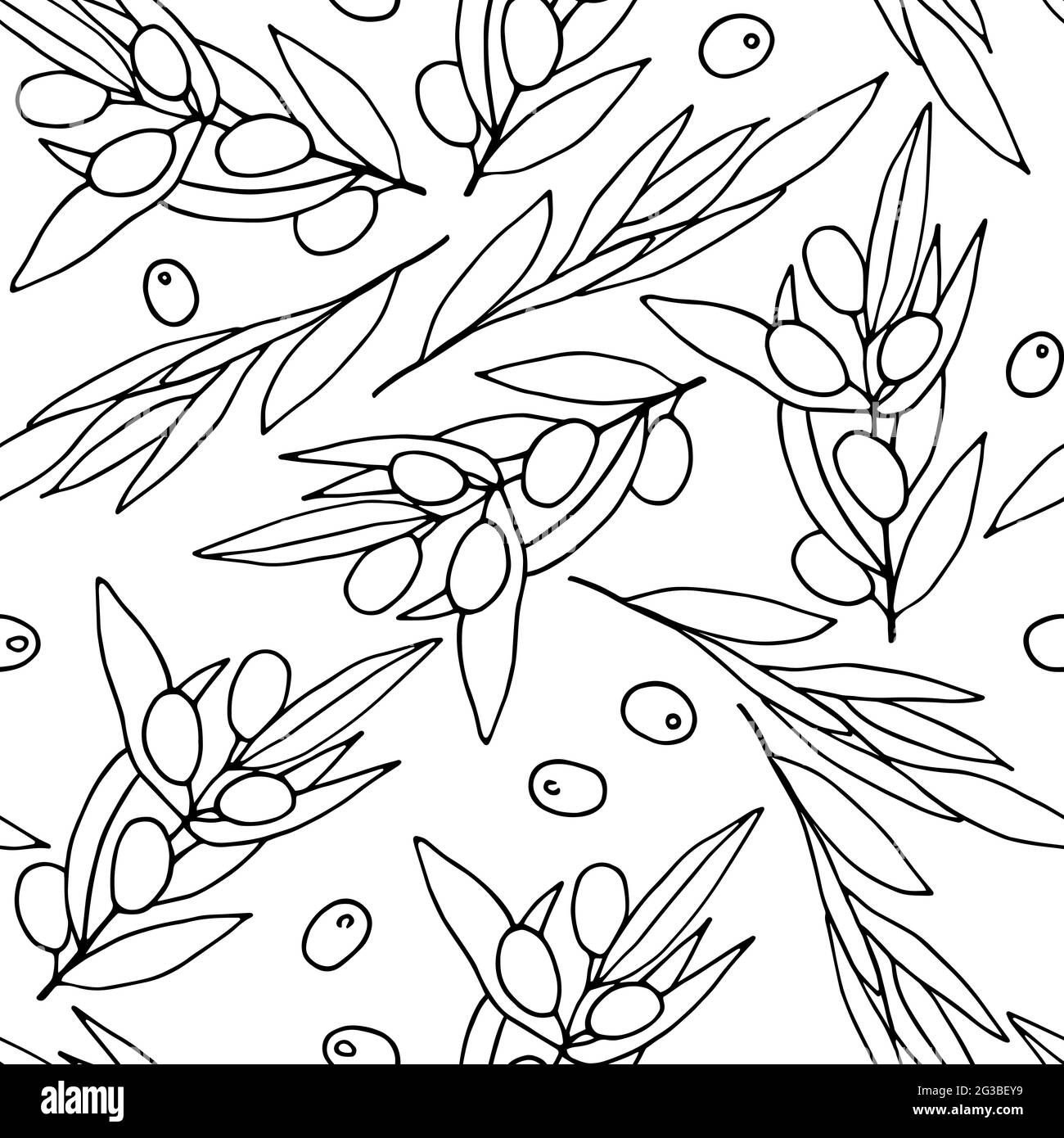 Seamless black and white pattern Olives. Outline olive branches ...