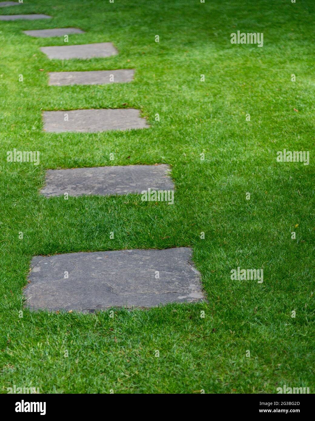 Stepping stone slabs in a lawn Stock Photo Alamy