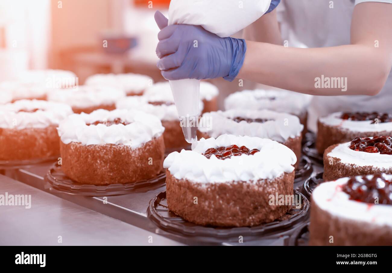 Pastry Chef Girl Makes A Cake From Fresh Biscuit Berries And Cream Mass Production Of Cakes And Sweets Confectionery Cream Cake Decorating Stock Photo Alamy