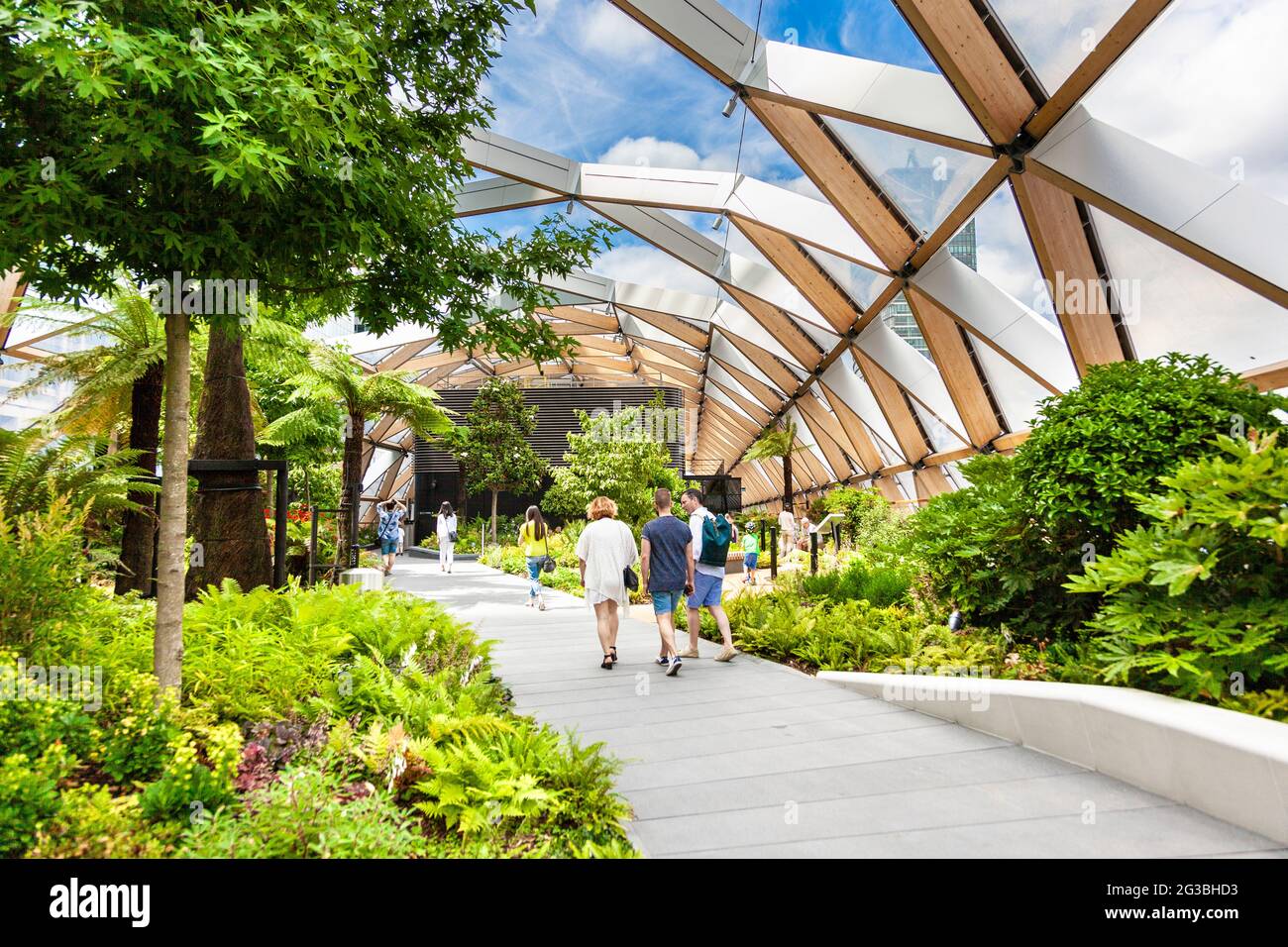 Crossrail Place roof garden above the new Crossrail train station in Canary Wharf, London, UK Stock Photo