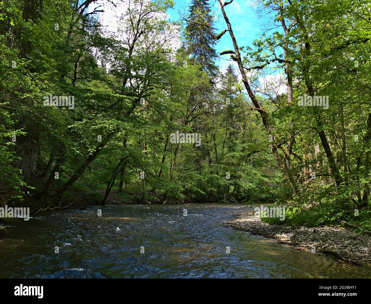 View of peaceful Wutach Gorge ('Wutachschlucht') in southern Black Forest, Germany with flowing river and dense green vegetation of plants and trees. Stock Photo