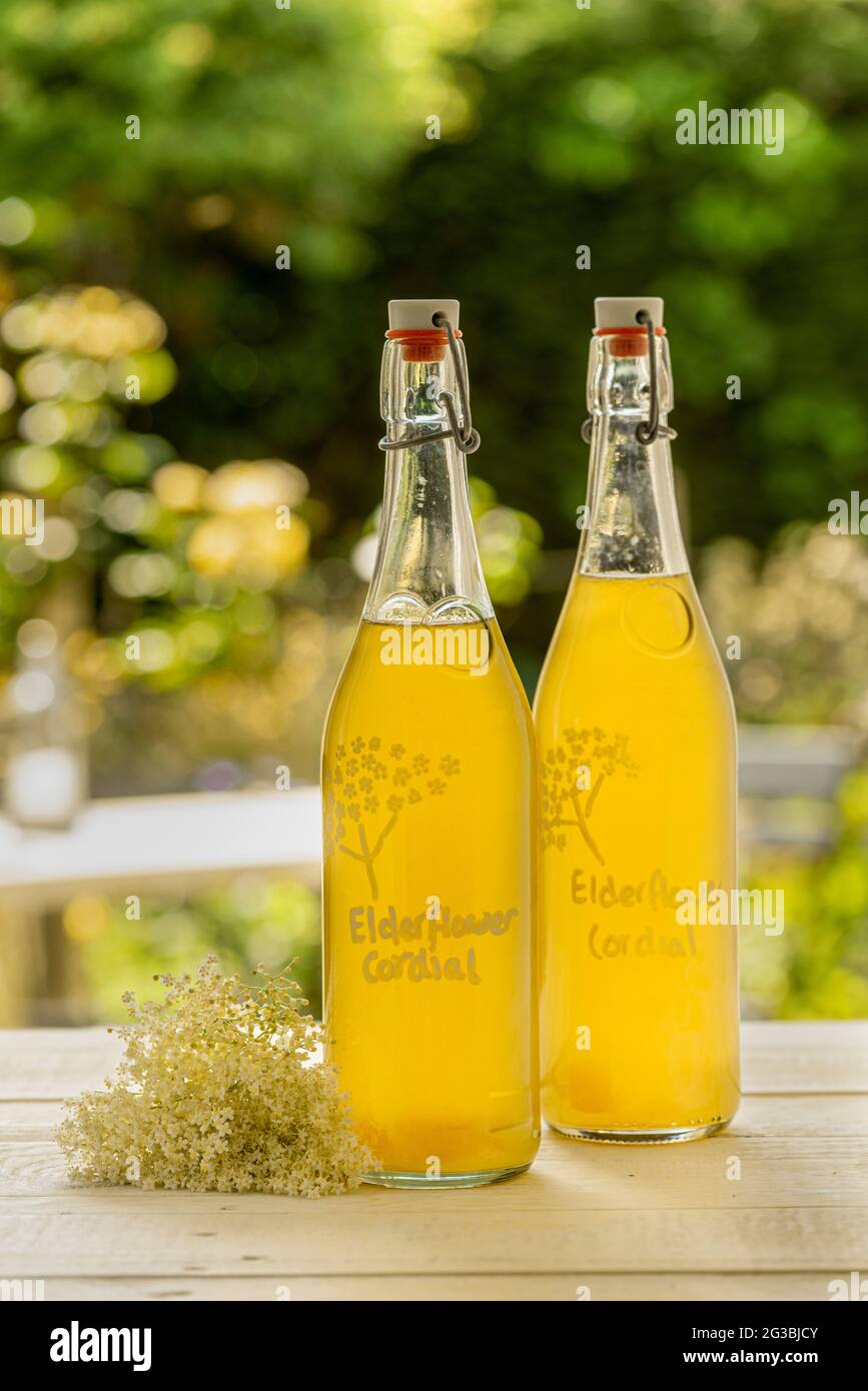 Glass swing top bottles of elderflower cordial, along with the elderflowers on a table with out of focus garden in the background. Stock Photo