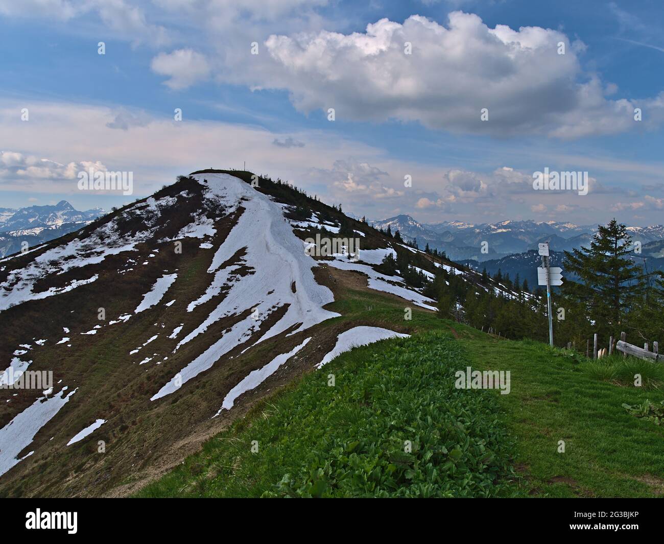 Beautiful view of the peak of Riedberger Horn (1,787 m) in the Allgau Alps,  Bavaria Germany with hiking path and residual snow in early summer Stock  Photo - Alamy