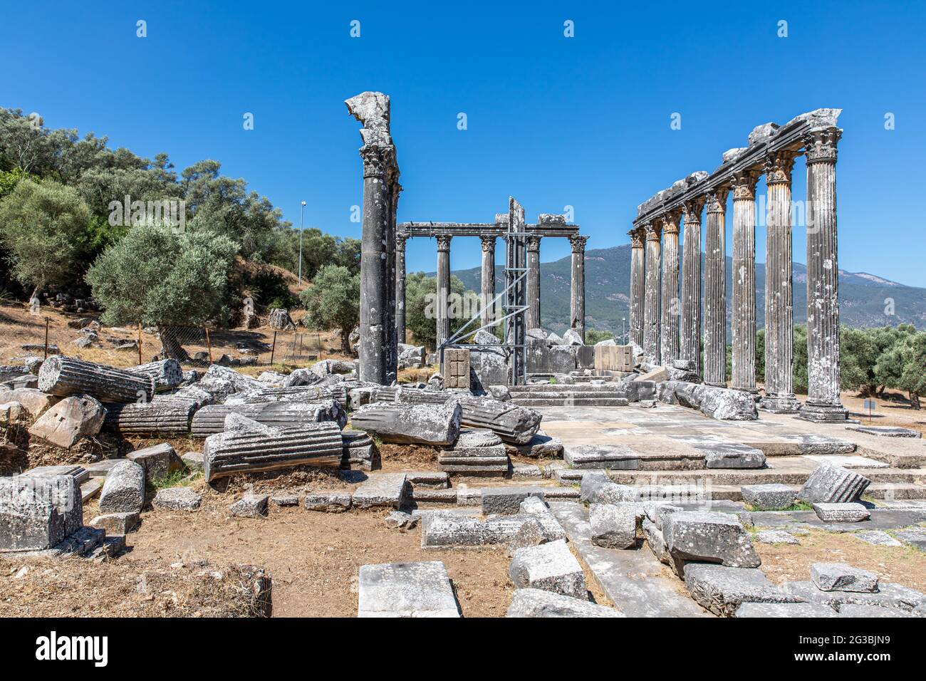 Temple of Zeus in Euromos Ancient City Stock Photo