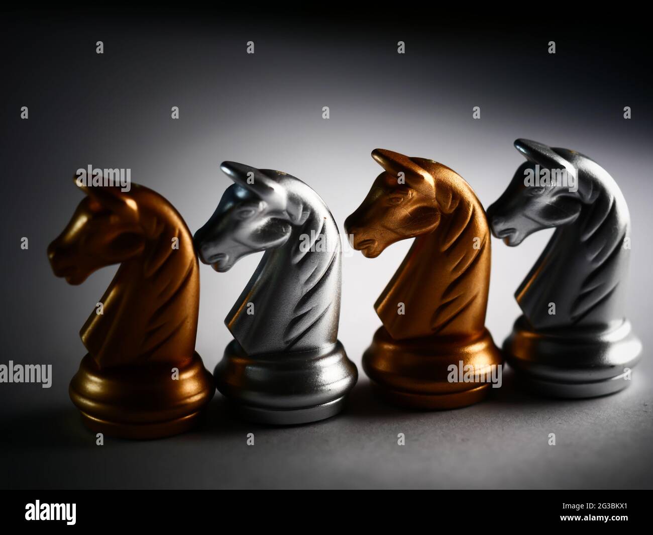 Closeup shot of metallic gold and silver chess horse pieces Stock Photo -  Alamy