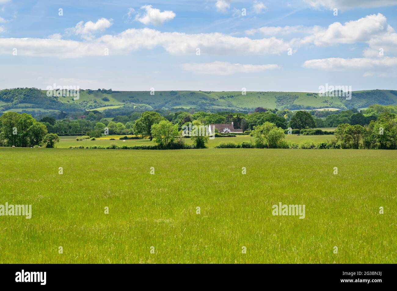 View to South Downs over pastures, hedgerows and woodland in the Sussex countryside, England. Stock Photo
