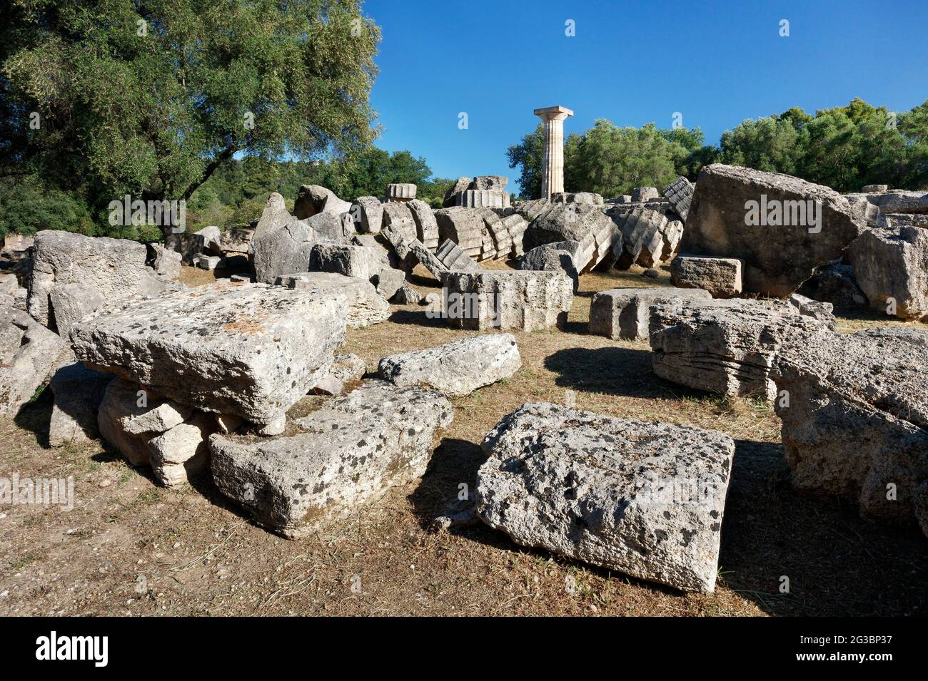 Collapsed columns around the Temple of Zeus in Ancient Olympia in the Peloponnese of Greece Stock Photo