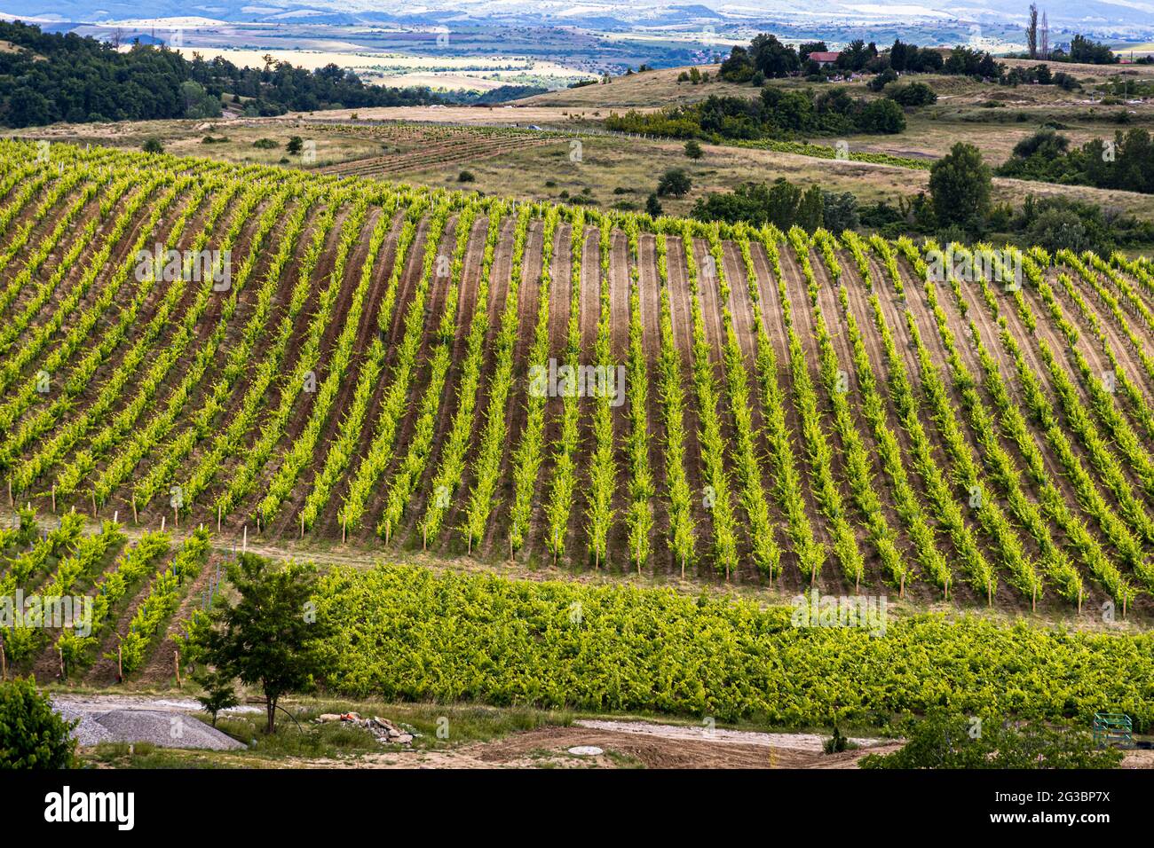 Winery Villa Melnik in Sandanski, Bulgaria Stock Photo Alamy