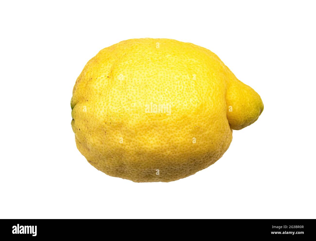 single amalfi lemon, sfusato amalfitano, isolated on white background Stock Photo