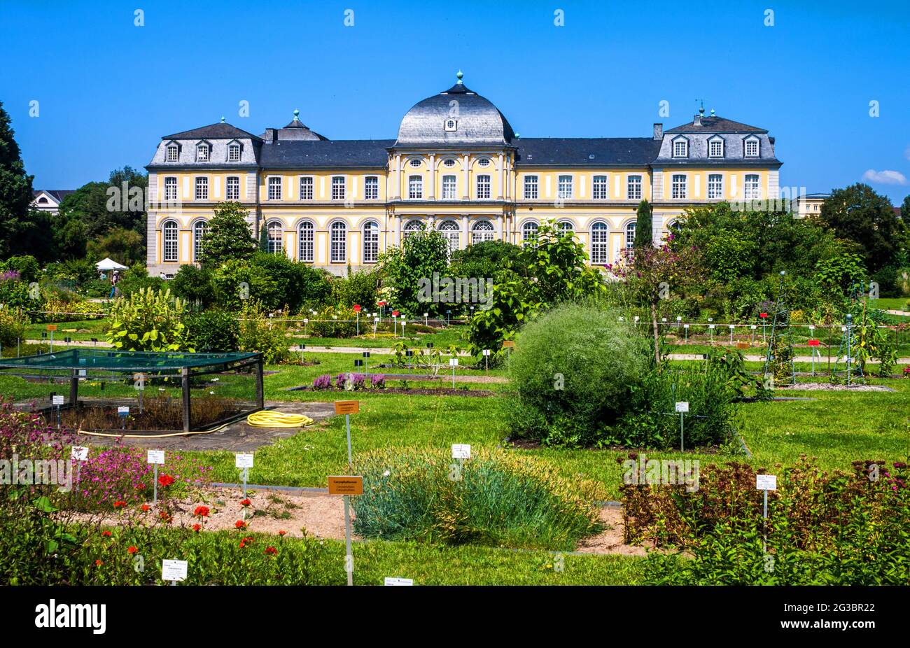 Poppelsdorf Palace and botanical garden in Bonn, Germany Stock Photo