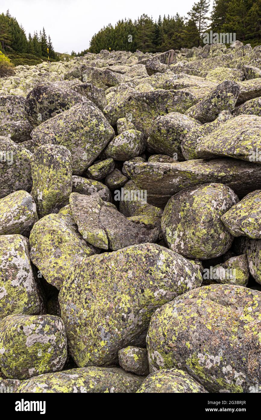 Typical for the Vitosha Mountains above Sofia are the huge stones of the ground moraines, Bulgaria Stock Photo