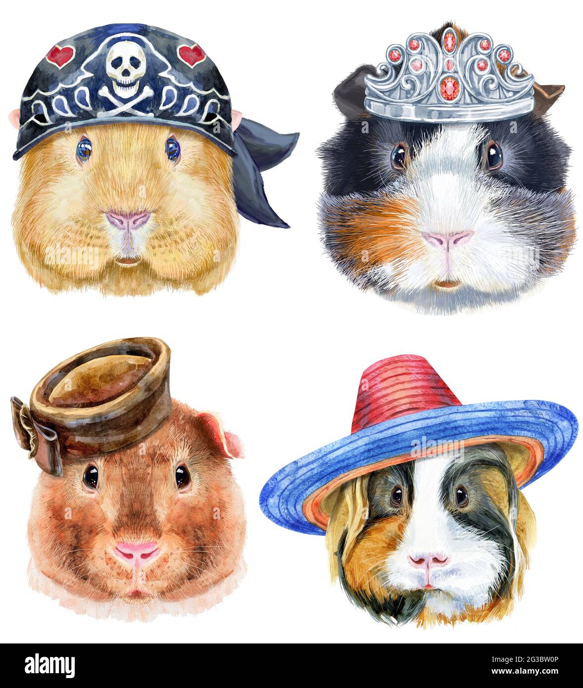 Guinea pigs for t-shirt graphics. Watercolor Skinny Guinea Pig illustration Stock Photo