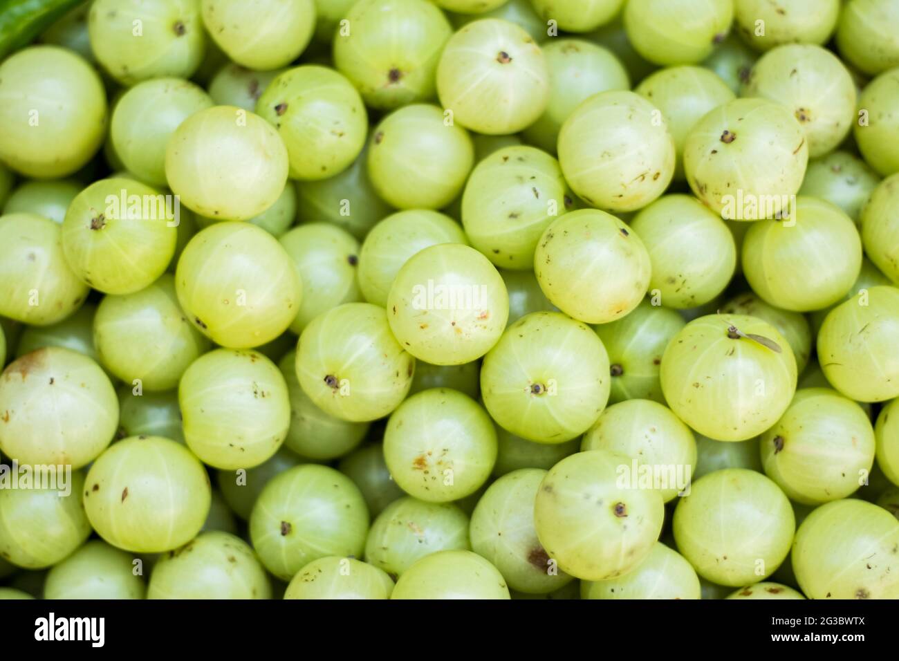 Pile of fresh Indian gooseberry for sale at the market Stock Photo Alamy