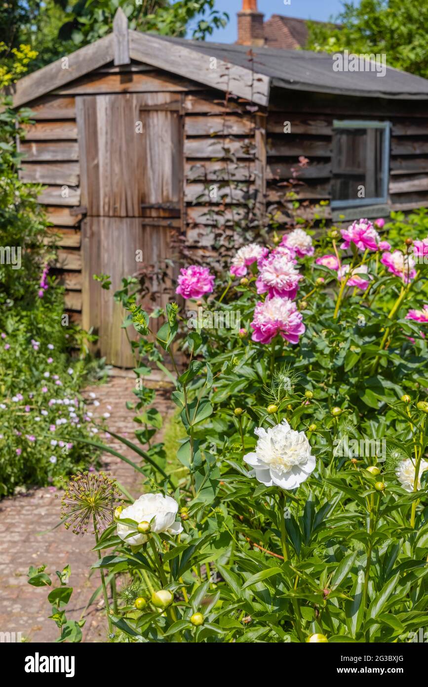 Pink Garden Shed High Resolution Stock Photography And Images Alamy