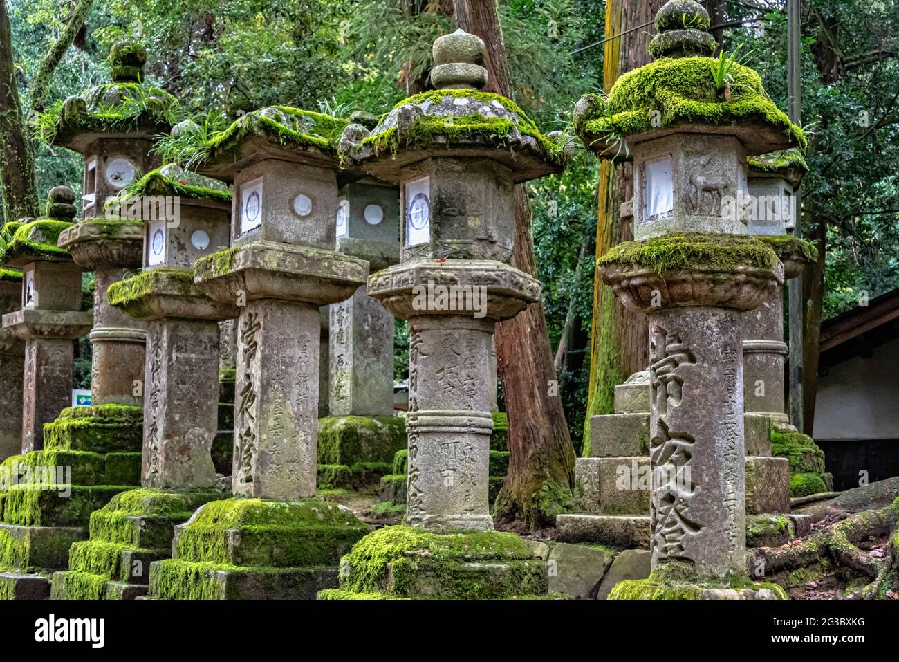 Ishidoro, stone japanese lanterns along the paths of Nara Park, Nara, Japan. Stock Photo