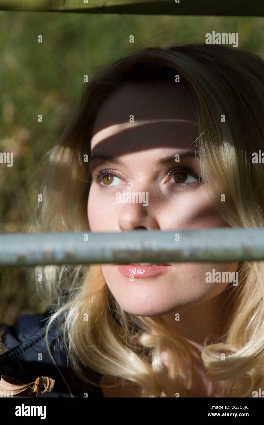 Halloween Harley Stock Photo