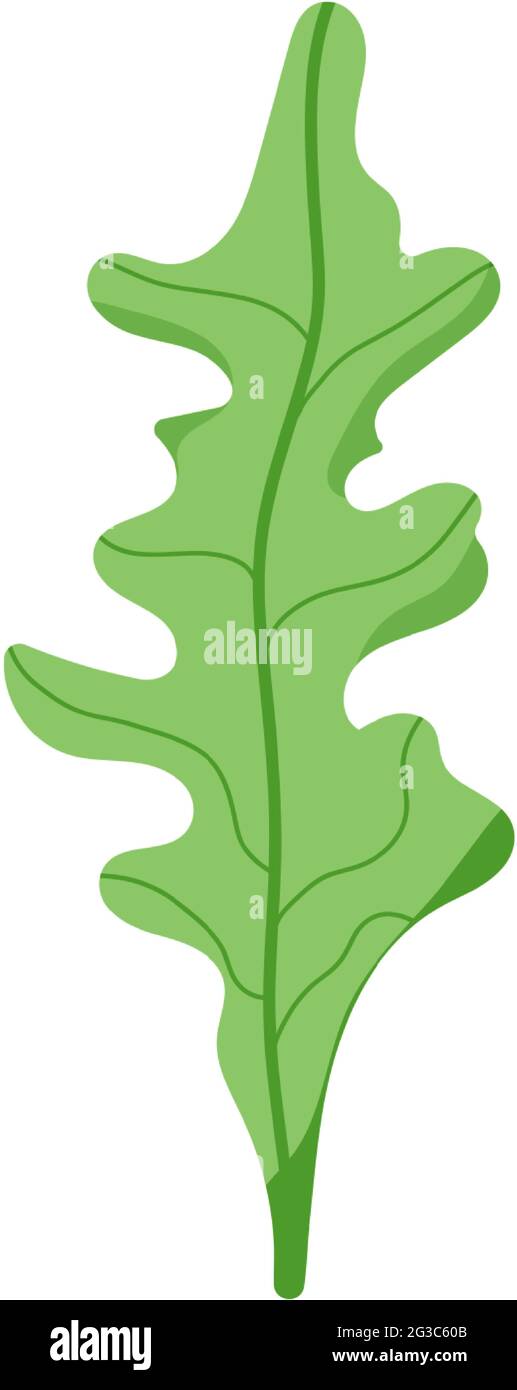 green leaf isolated on white. Vector illustration Stock Vector Image ...