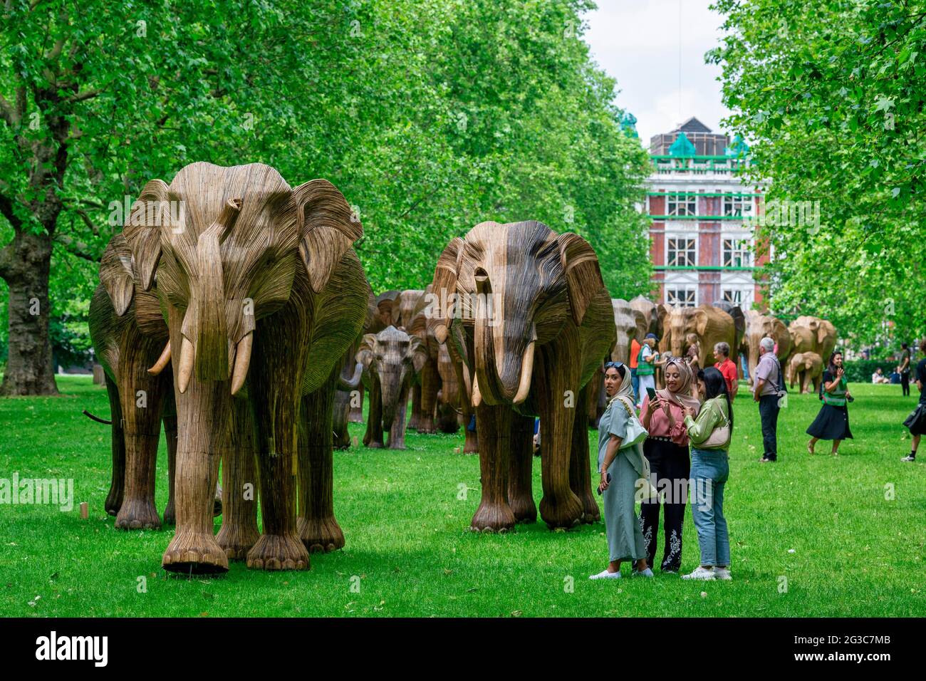 London Uk 15th June 2021 People Visiting The Coexistence Lantana Elephants In Green Park In