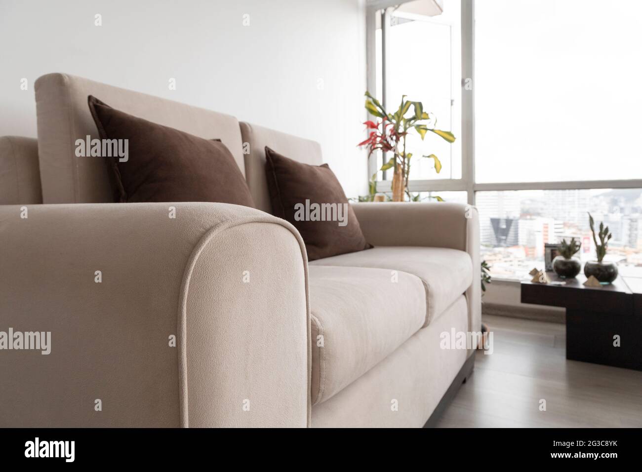 large white sofa cushions