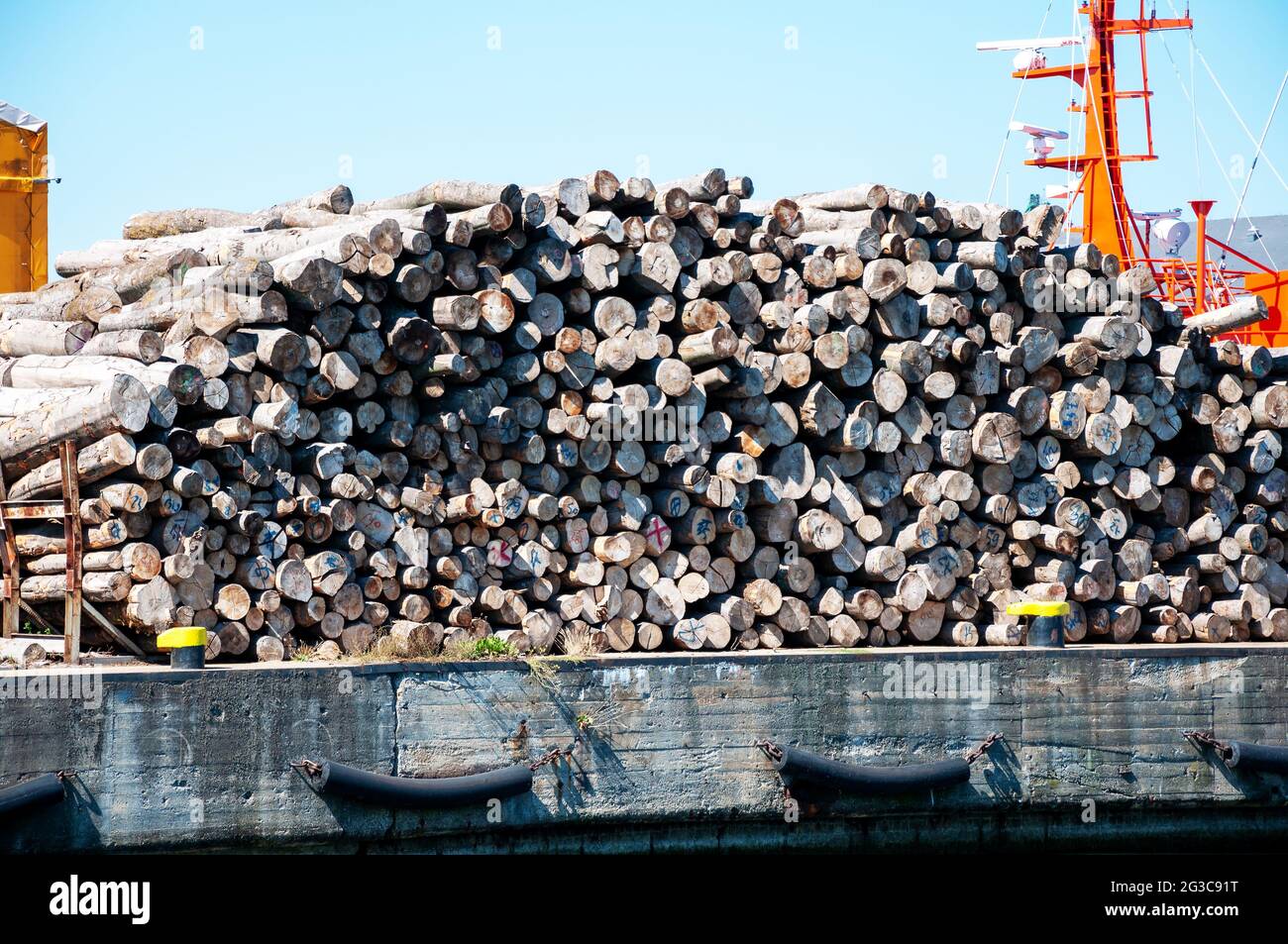 A big stack of balks of wood in the harbour in Gdynia in Poland Stock Photo