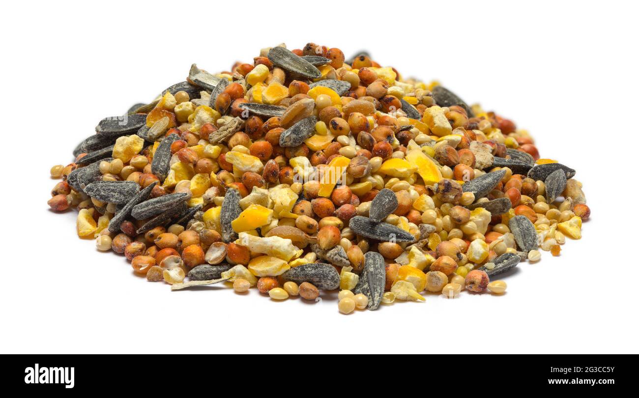 Small Pile of Bird Seed Cut Out on White Stock Photo Alamy