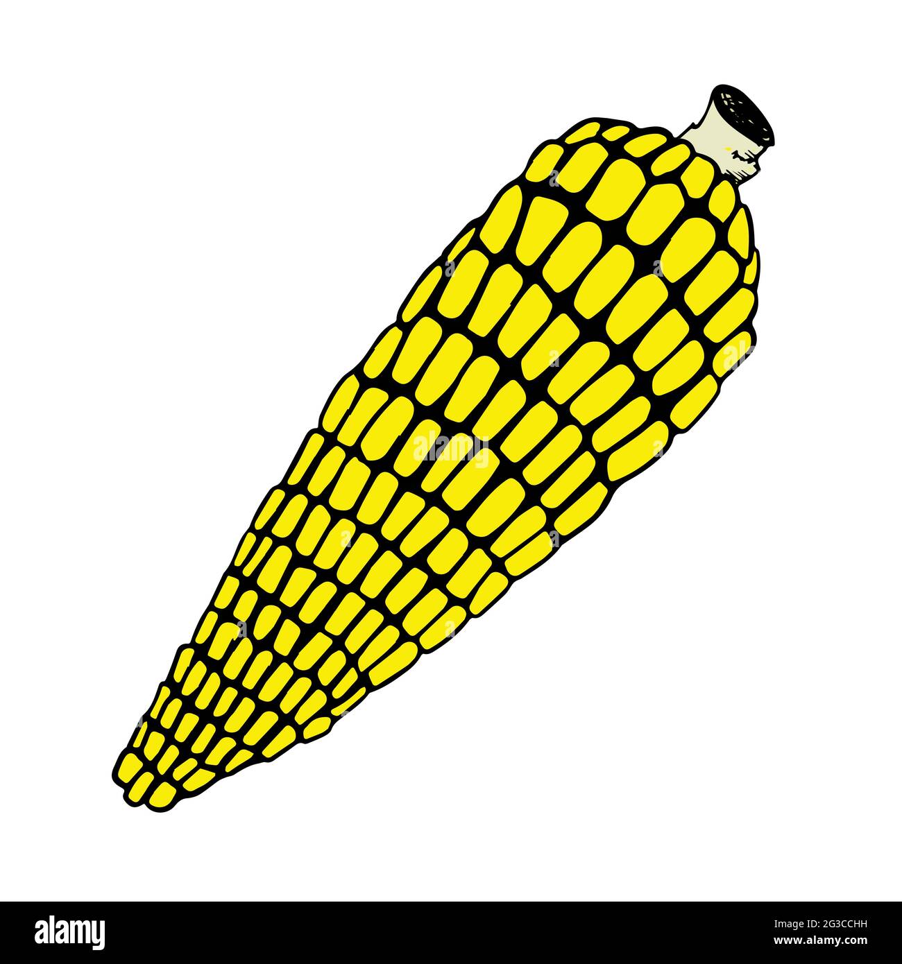 Cob corn cob Stock Vector Images Alamy