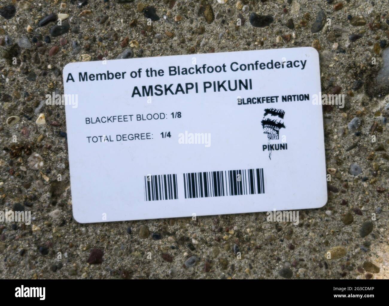 Montana Tribal ID Card, MT, USA Stock Photo Alamy