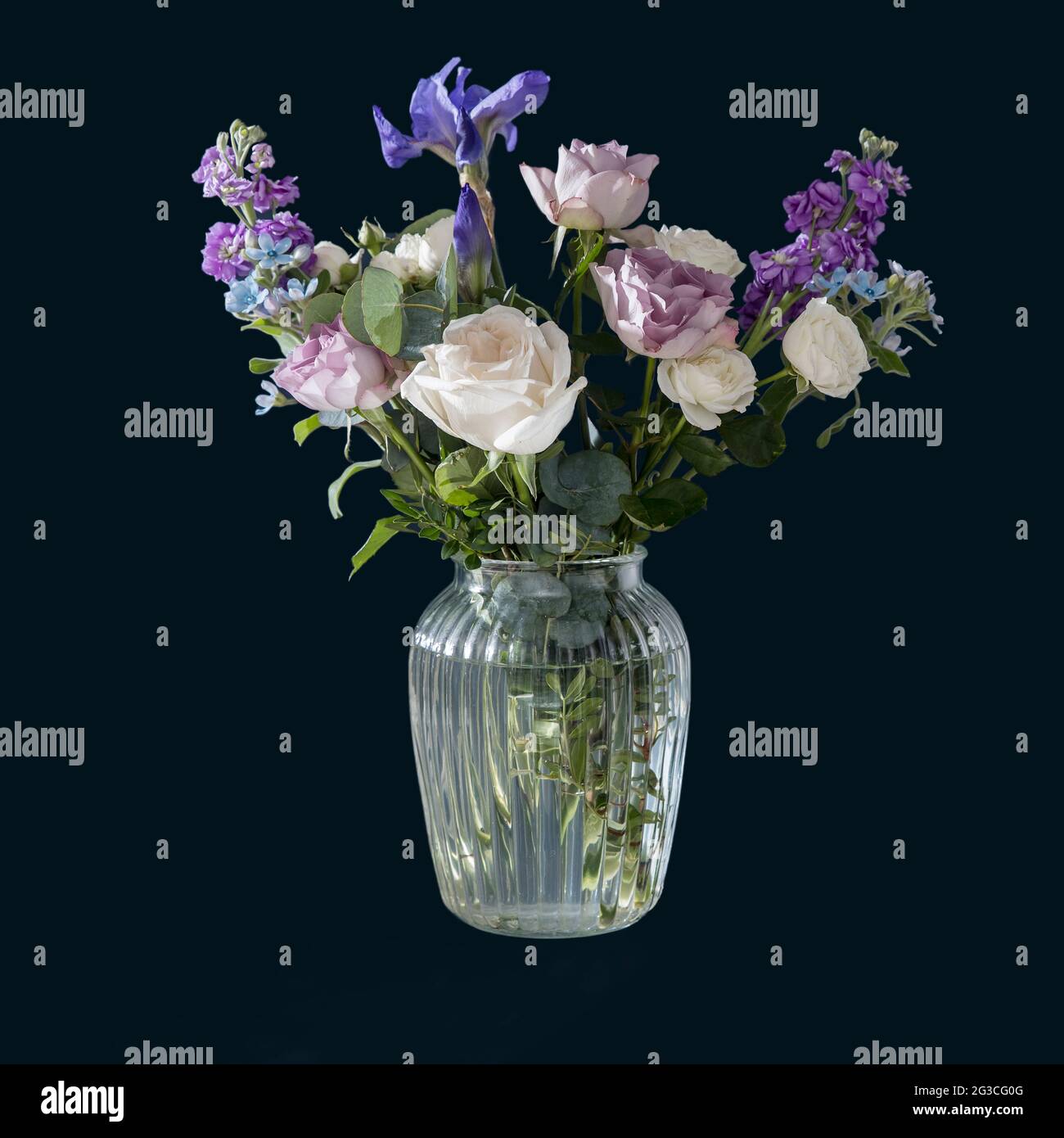Bouquet of hackelia velutina, purple and white roses, small tea roses, matthiola incana and blue iris in glass vase isolated on black background Stock Photo