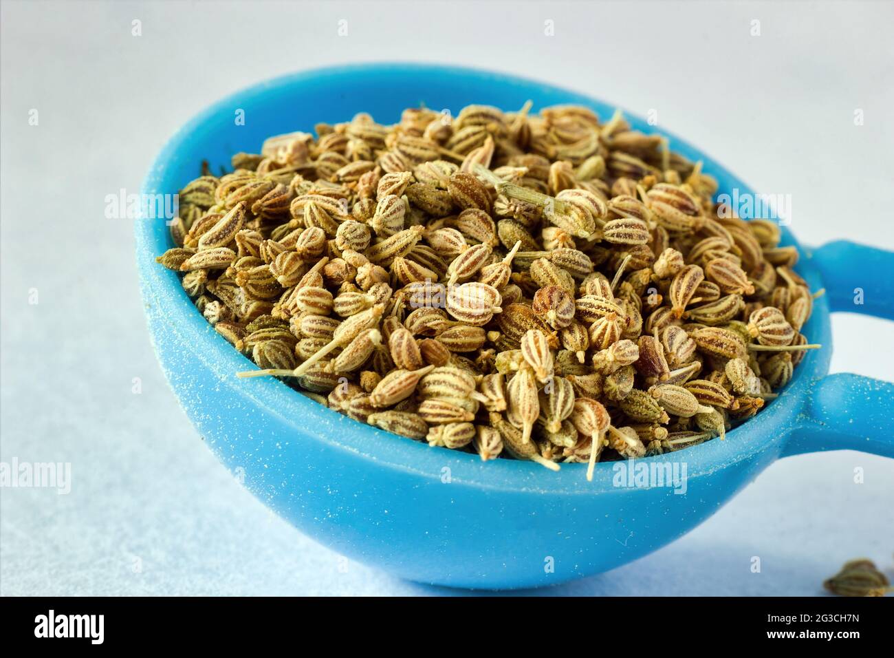 Extreme macro shot of Ajwain or ajowan or scientific name Trachyspermum