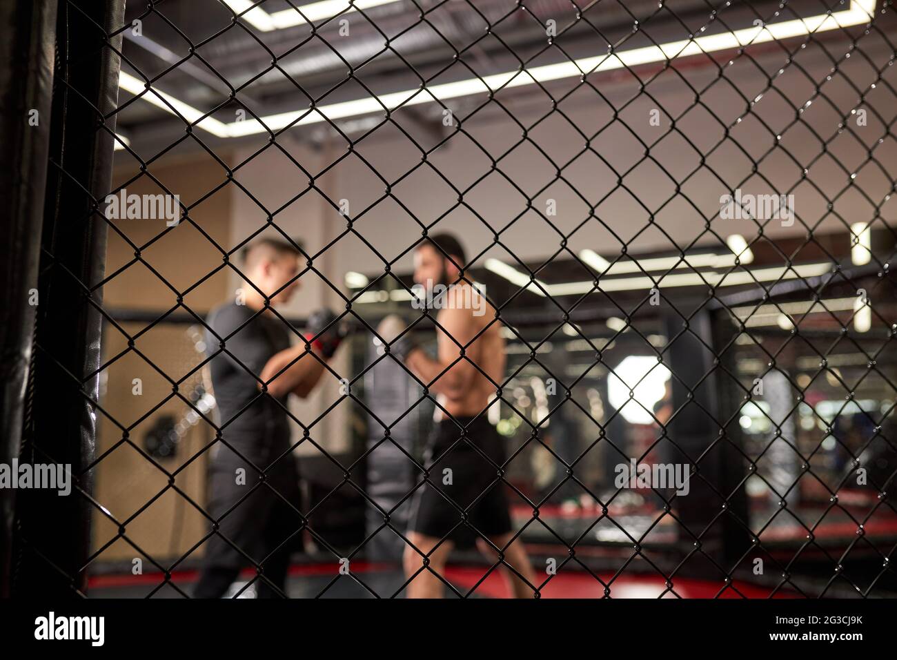 View through cage, two sporty men fighting, bodybuilders punching each