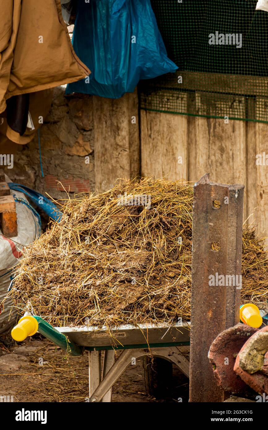 Animal droppings hires stock photography and images Alamy