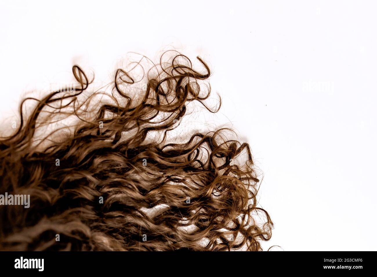 curly hair extension isolated on white background Stock Photo