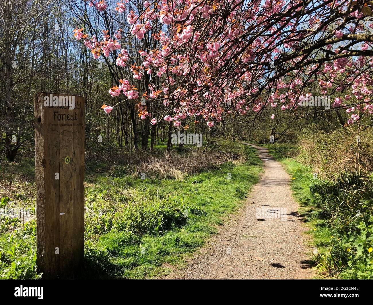 A walk through Blackley Forest, Manchester Stock Photo Alamy