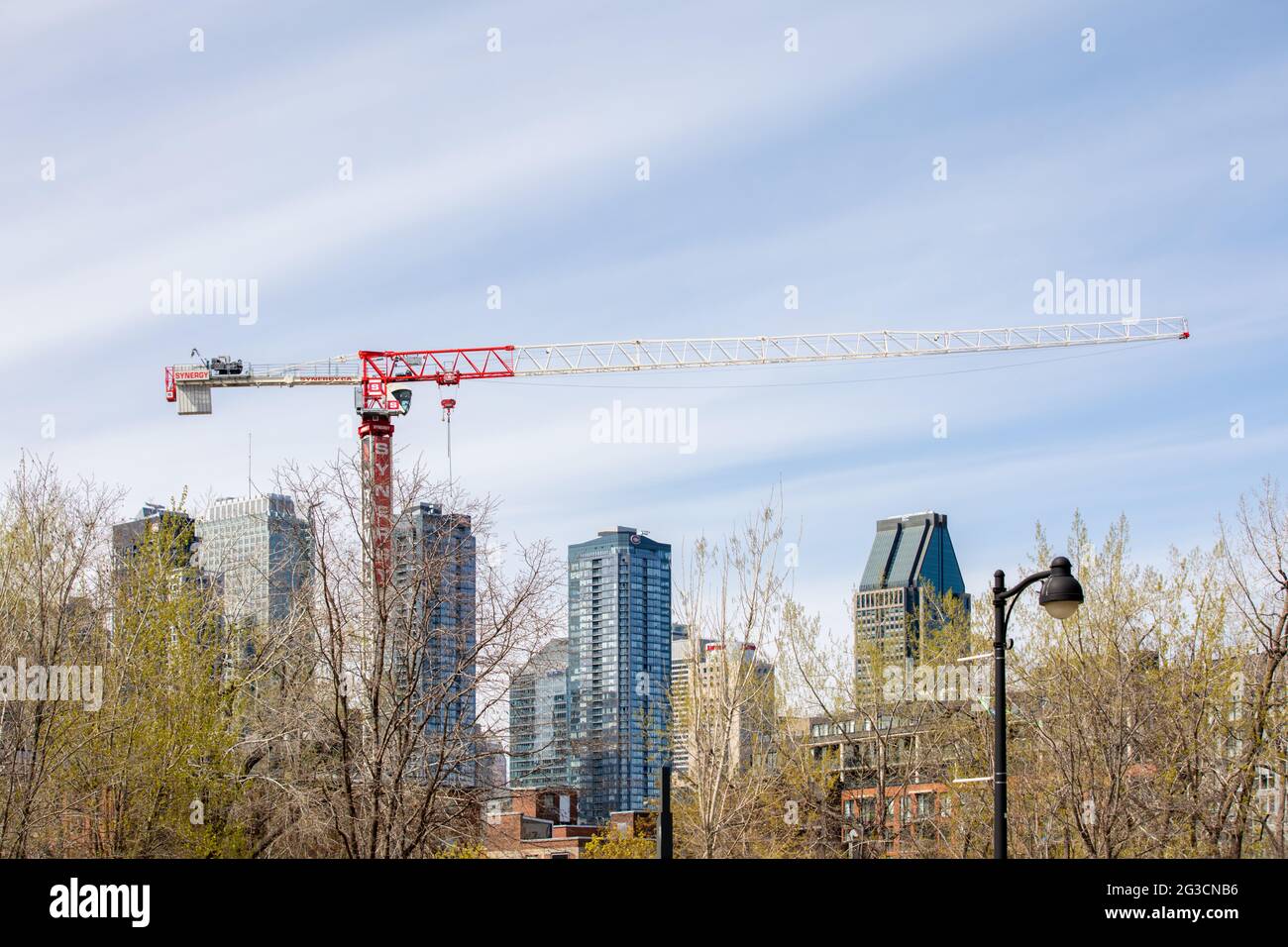 Tree Rigging Skyline View of a tall crane over the skyline of building in a city with a ...