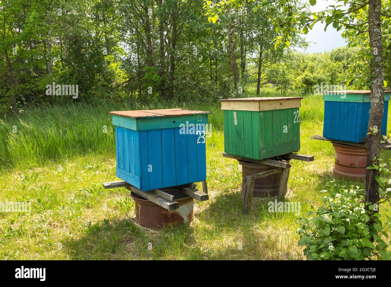 Three multi-colored beehives in the garden on a summer sunny day Stock Photo