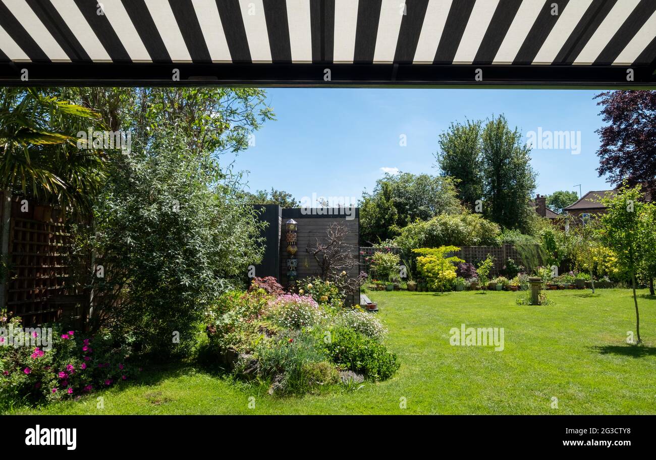 Mature suburban garde, photographed in Pinner UK with rockery in ...