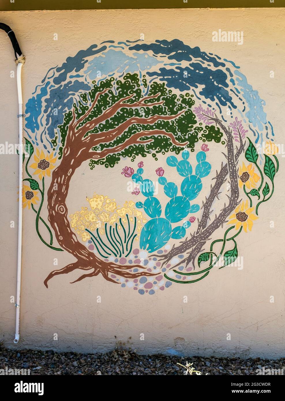 Albuquerque, New Mexico street art Stock Photo - Alamy